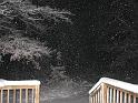 2008-12-20_Snow_Storm 054